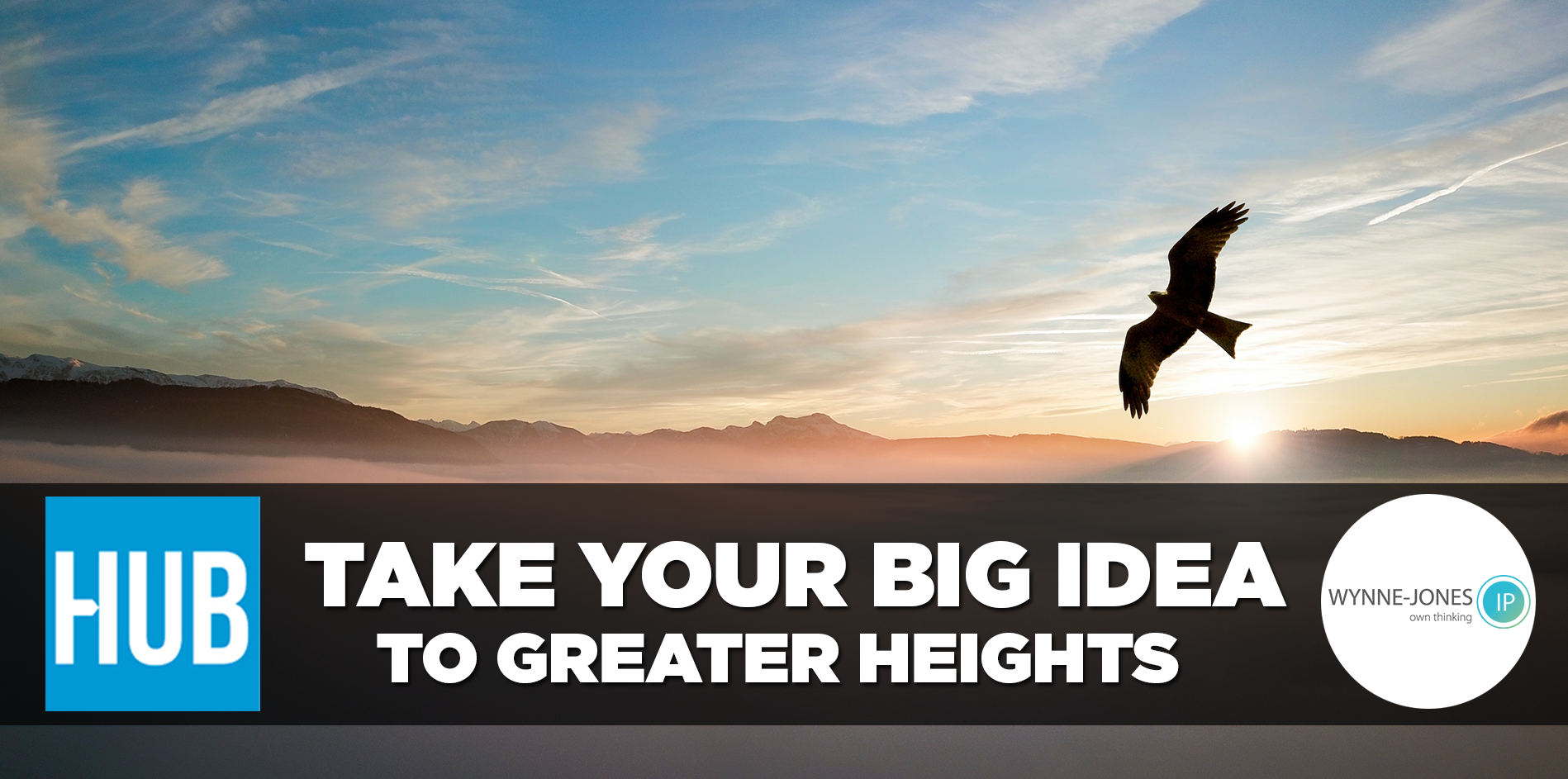 Take your big idea to greater heights Wynne Jones IP