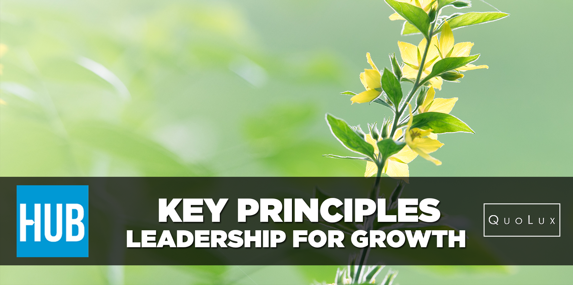 Key Principles of Leadership for Growth 
