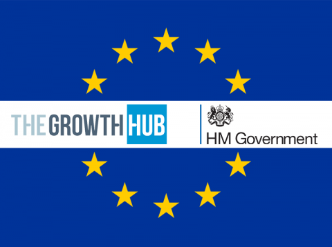 eu exit have your say