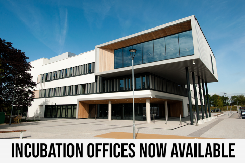 incubation offices at the growth hub