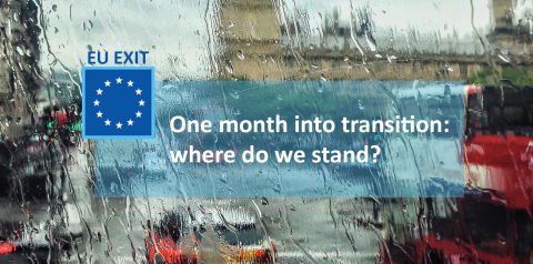 eu exit transition