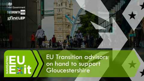 EU Transition Advisors appointed