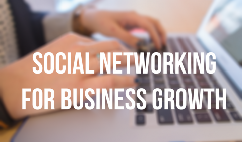 Social Networking For Business Growth: Staying Visible On LinkedIn